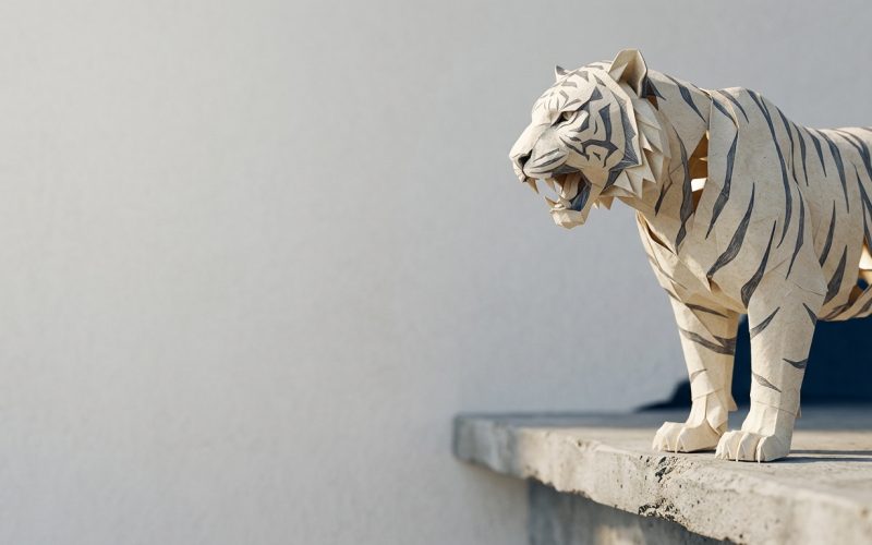 Tigres de Papel: A Armadilha de Escalar o Negócio Antes de Criar Confiança